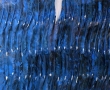 galletti-azzurri-con-lippi-50x50-anno-2012
